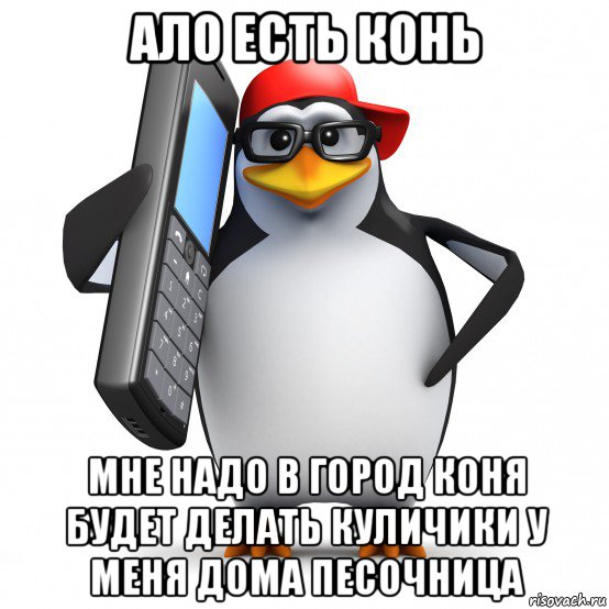 ало есть конь мне надо в город коня будет делать куличики у меня дома песочница, Мем   Пингвин звонит