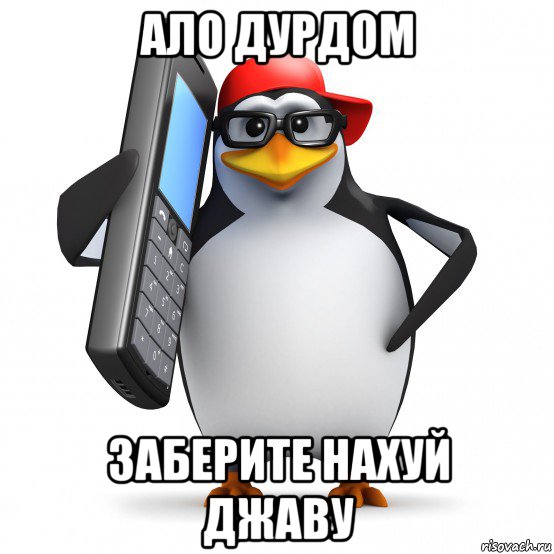 ало дурдом заберите нахуй джаву, Мем   Пингвин звонит