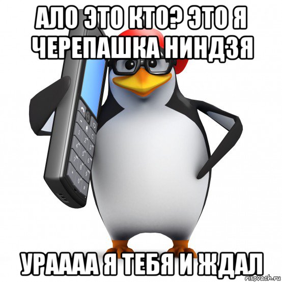 ало это кто? это я черепашка ниндзя ураааа я тебя и ждал, Мем   Пингвин звонит