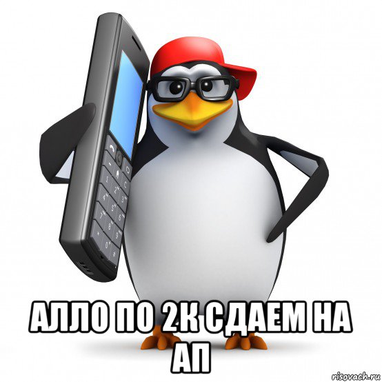  алло по 2к сдаем на ап, Мем   Пингвин звонит