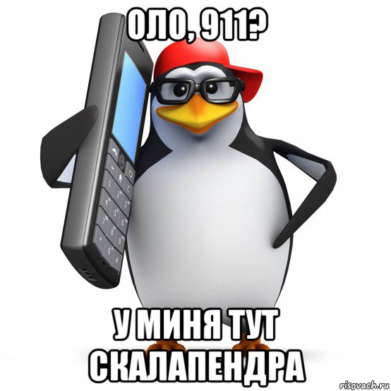 оло, 911? у миня тут скалапендра, Мем   Пингвин звонит