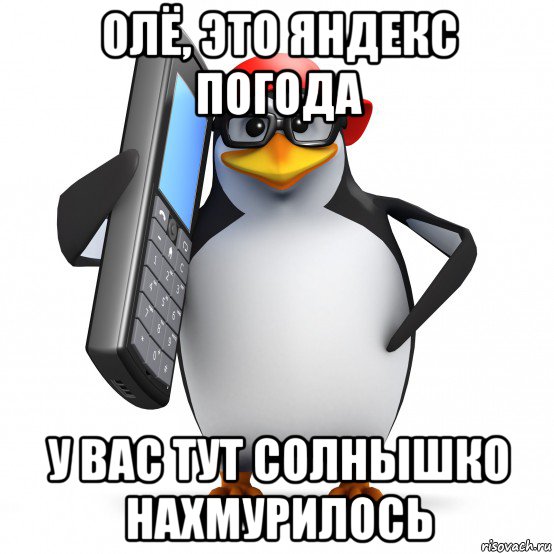 олё, это яндекс погода у вас тут солнышко нахмурилось, Мем   Пингвин звонит