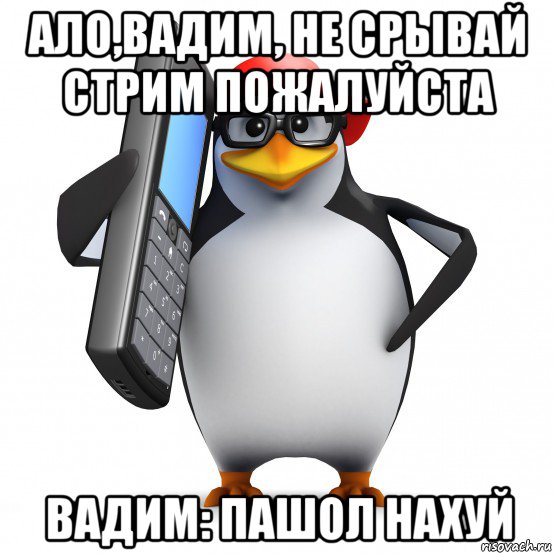 ало,вадим, не срывай стрим пожалуйста вадим: пашол нахуй, Мем   Пингвин звонит