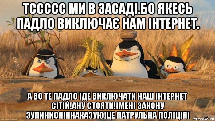 тссссс ми в засаді.бо якесь падло виключає нам інтернет. а во те падло іде виключати наш інтернет сітій!ану стояти!імені закону зупинися!янаказую!це патрульна поліція!, Мем   Пингвины маскируются