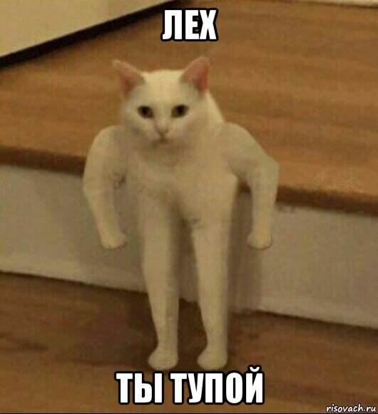 лех ты тупой, Мем  Полукот