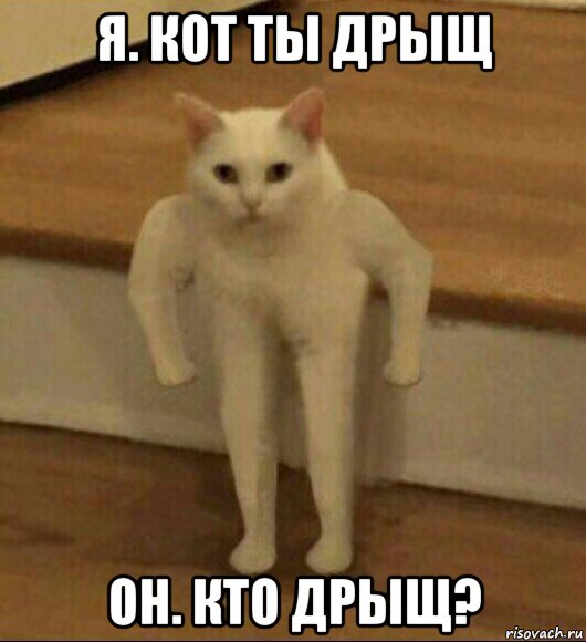 я. кот ты дрыщ он. кто дрыщ?