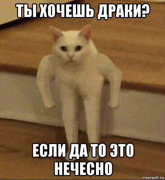 ты хочешь драки? если да то это нечесно, Мем  Полукот