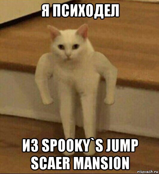 я психодел из spooky`s jump scaer mansion, Мем  Полукот