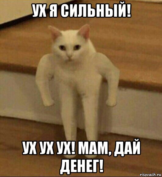 ух я сильный! ух ух ух! мам, дай денег!, Мем  Полукот