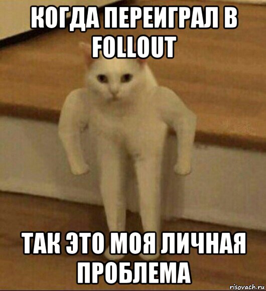 когда переиграл в follout так это моя личная проблема, Мем  Полукот