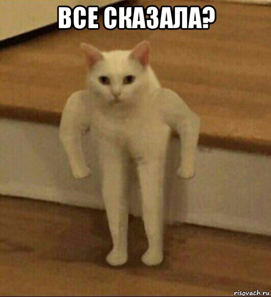 все сказала? , Мем  Полукот