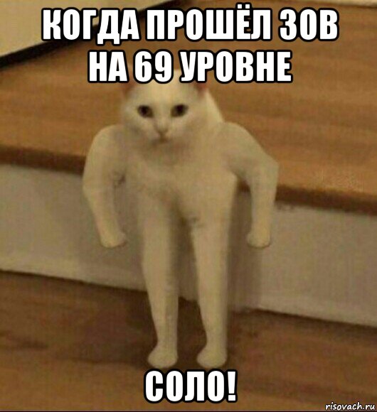 когда прошёл зов на 69 уровне соло!, Мем  Полукот