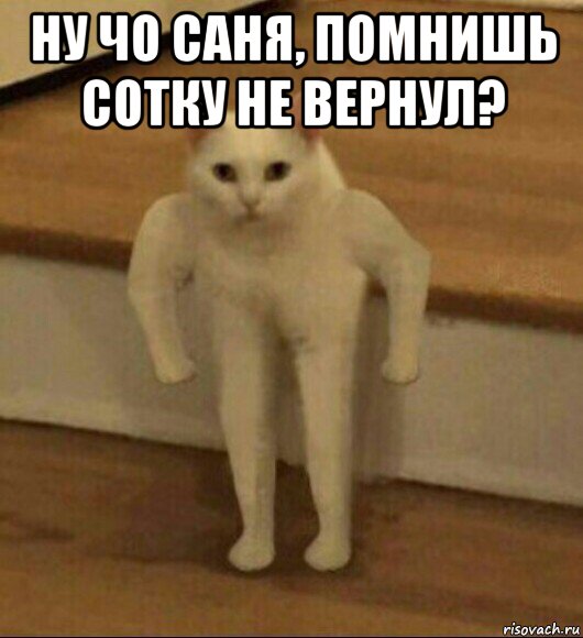 ну чо саня, помнишь сотку не вернул? , Мем  Полукот