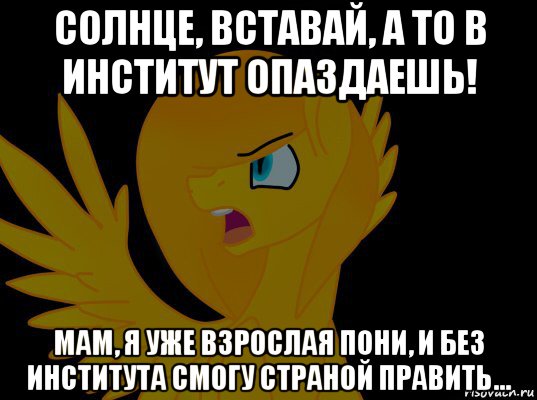 солнце, вставай, а то в институт опаздаешь! мам, я уже взрослая пони, и без института смогу страной править...