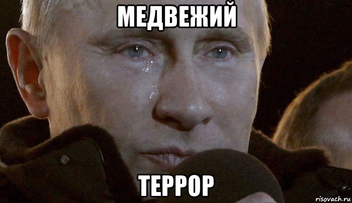 медвежий террор, Мем Плачущий Путин