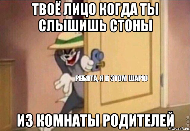 твоё лицо когда ты слышишь стоны из комнаты родителей, Мем    Ребята я в этом шарю