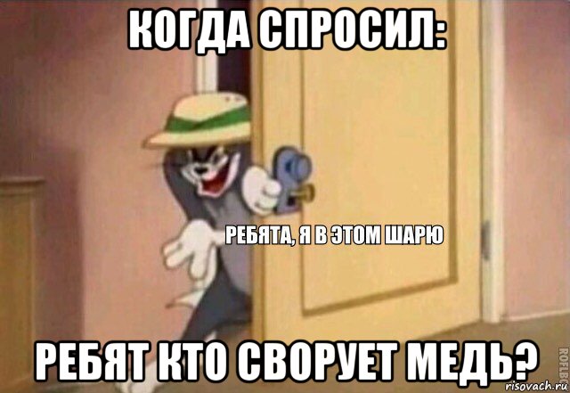 когда спросил: ребят кто сворует медь?, Мем    Ребята я в этом шарю