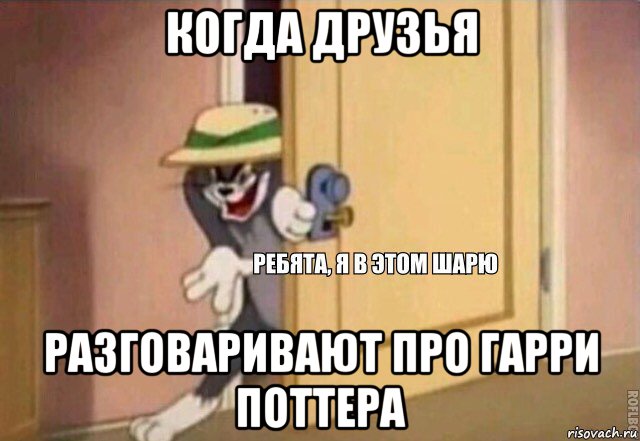 когда друзья разговаривают про гарри поттера, Мем    Ребята я в этом шарю