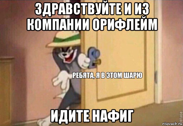 здравствуйте и из компании орифлейм идите нафиг, Мем    Ребята я в этом шарю