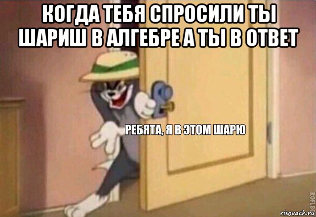 когда тебя спросили ты шариш в алгебре а ты в ответ , Мем    Ребята я в этом шарю