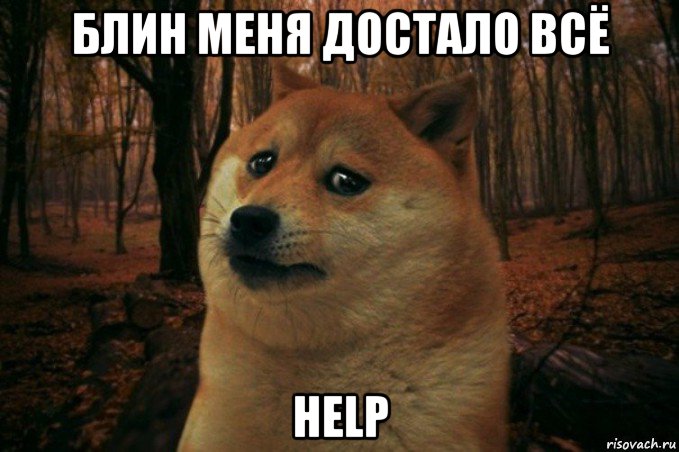 блин меня достало всё help