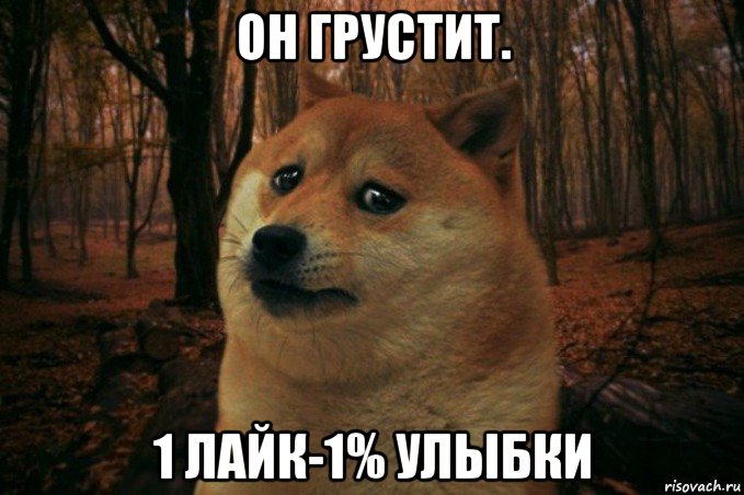 он грустит. 1 лайк-1% улыбки