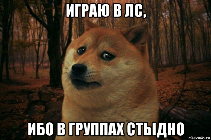 играю в лс, ибо в группах стыдно, Мем SAD DOGE