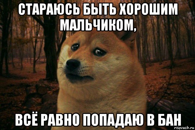 стараюсь быть хорошим мальчиком, всё равно попадаю в бан, Мем SAD DOGE