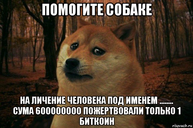 помогите собаке на личение человека под именем ........ сума 600000000 пожертвовали только 1 биткоин