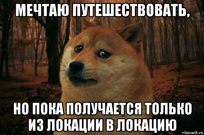 мечтаю путешествовать, но пока получается только из локации в локацию