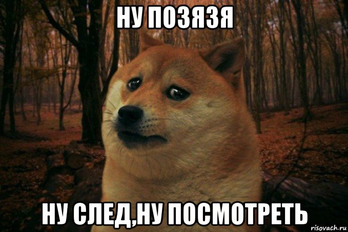 ну позязя ну след,ну посмотреть