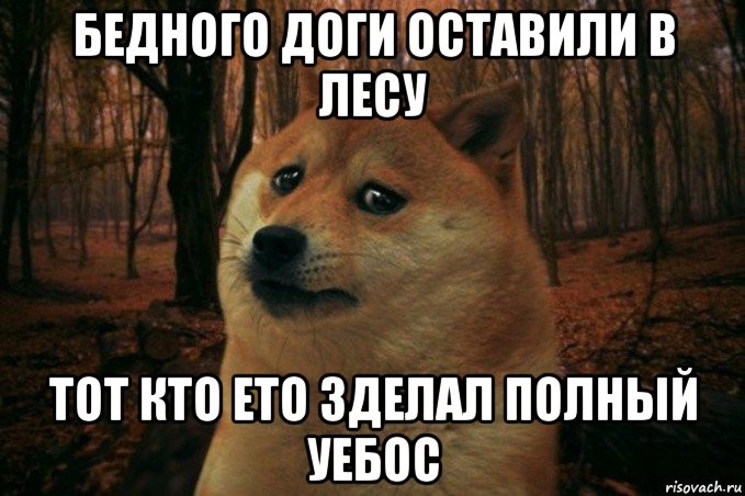 бедного доги оставили в лесу тот кто ето зделал полный уебос, Мем SAD DOGE