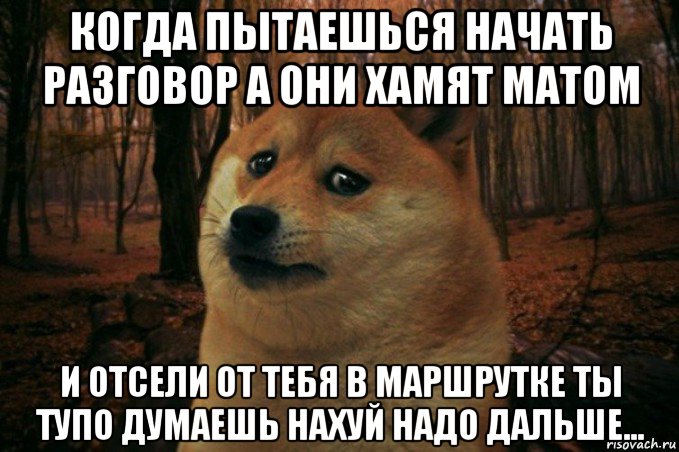 когда пытаешься начать разговор а они хамят матом и отсели от тебя в маршрутке ты тупо думаешь нахуй надо дальше..., Мем SAD DOGE