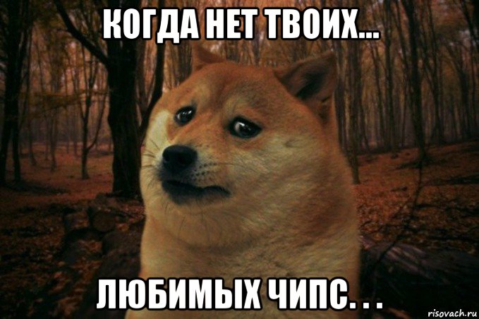 когда нет твоих... любимых чипс. . .