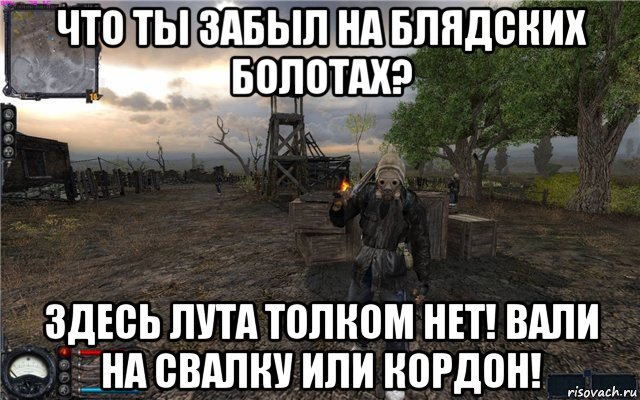 что ты забыл на блядских болотах? здесь лута толком нет! вали на свалку или кордон!