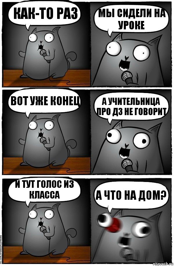 Как-то раз мы сидели на уроке вот уже конец а учительница про дз не говорит и тут голос из класса А что на дом?, Комикс  Стендап-кот