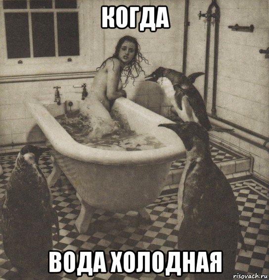 когда вода холодная