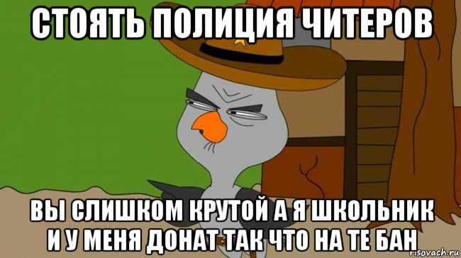 стоять полиция читеров вы слишком крутой а я школьник и у меня донат так что на те бан, Мем  Строгая сова