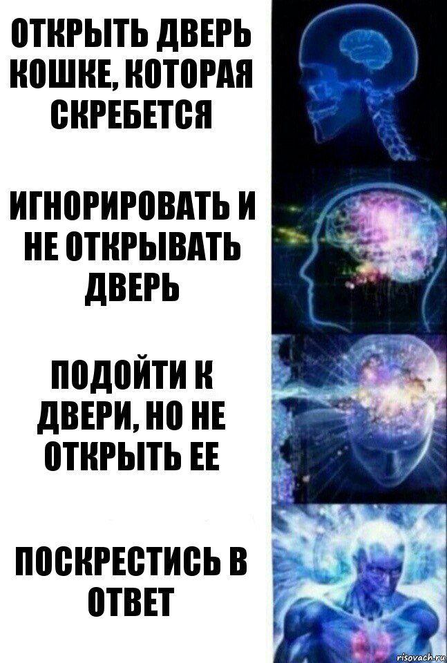 Открыть дверь кошке, которая скребется Игнорировать и не открывать дверь подойти к двери, но не открыть ее поскрестись в ответ, Комикс  Сверхразум