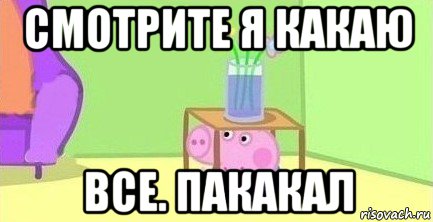 смотрите я какаю все. пакакал, Мем  Свинка пеппа под столом