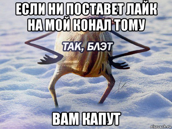 если ни поставет лайк на мой конал тому вам капут, Мем  Так блэт птица с руками