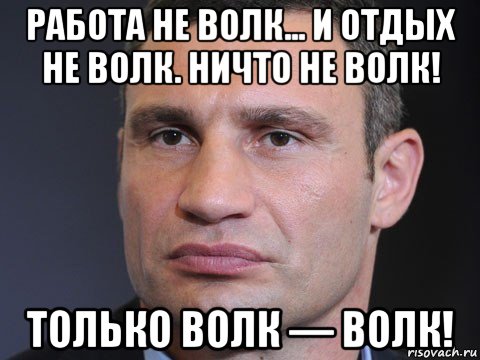 работа не волк... и отдых не волк. ничто не волк! только волк — волк!, Мем Типичный Кличко