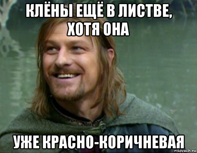 клёны ещё в листве, хотя она уже красно-коричневая, Мем Тролль Боромир