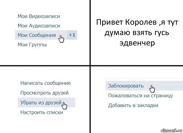 Привет Королев ,я тут думаю взять гусь эдвенчер, Комикс  Удалить из друзей