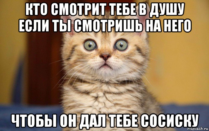 кто смотрит тебе в душу если ты смотришь на него чтобы он дал тебе сосиску, Мем  удивление