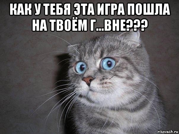 как у тебя эта игра пошла на твоём г...вне??? 