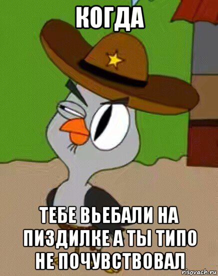 когда тебе вьебали на пиздилке а ты типо не почувствовал, Мем    Упоротая сова