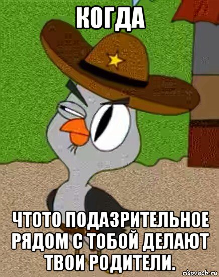 когда чтото подазрительное рядом с тобой делают твои родители., Мем    Упоротая сова