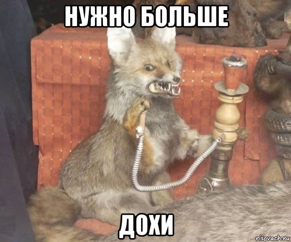 нужно больше дохи