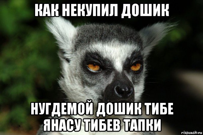 как некупил дошик нугдемой дошик тибе янасу тибев тапки, Мем   Я збагоен